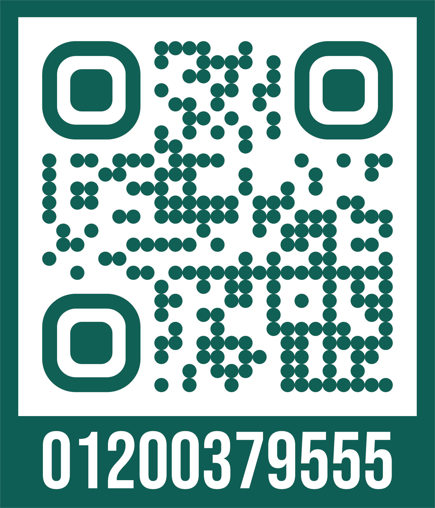 01200379555@3x 8